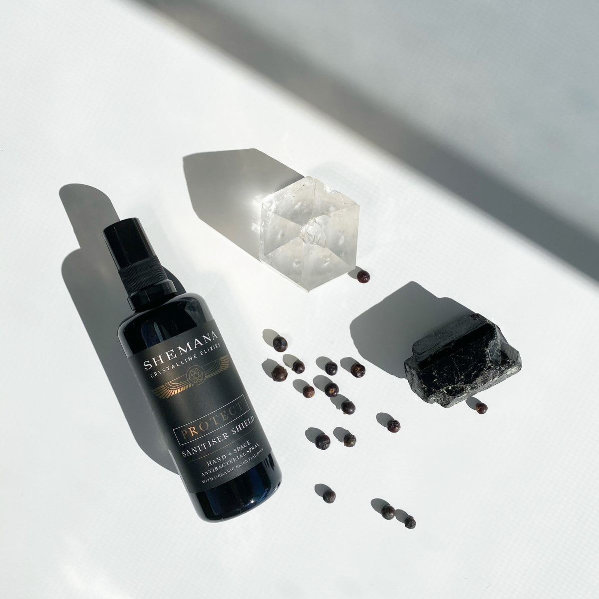 PROTECT - Sanitiser Shield